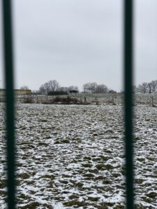 LA FERME DES AN.MAUX. 2023heic